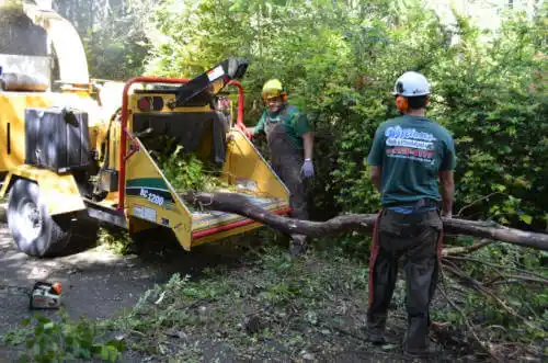 tree services North Tustin